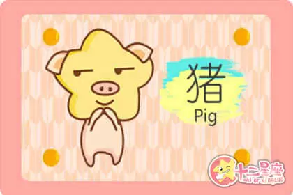 孤僻是伪装 不愿与傻瓜为伍的生肖女 孤僻是伪装 不愿与傻瓜为伍的生肖女