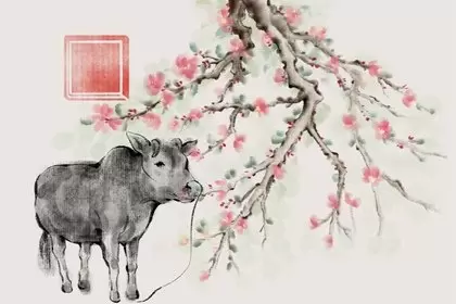 生肖牛的性格缺点 斤斤计较一根筋 生肖牛的性格缺点 斤斤计较一根筋