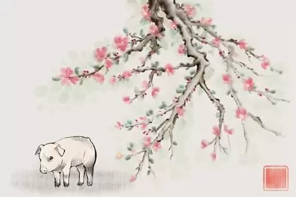 生肖狗5月和生肖猪4月合不合 财富事业都很合