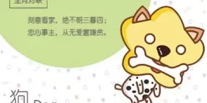 狗比猪大一岁结婚好吗 性格互补婚配合适缩略图