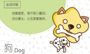 狗比猪大一岁结婚好吗 性格互补婚配合适缩略图