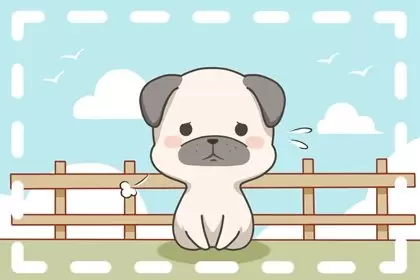 属鸡的和属狗2023年结婚好吗 个性难融不合适婚嫁 属鸡的和属狗2023年结婚好吗 个性难融不合适婚嫁