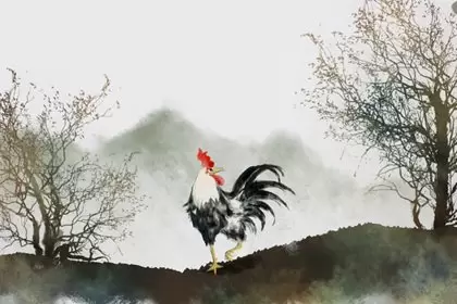 今年属鸡的人爱情会怎么样 属鸡的今年能找到对象吗