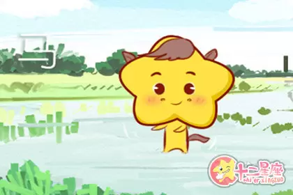 不自信 经常在自我怀疑的生肖 不自信 经常在自我怀疑的生肖