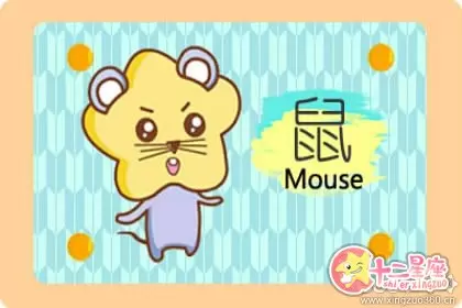 外强中干 实力不足的生肖