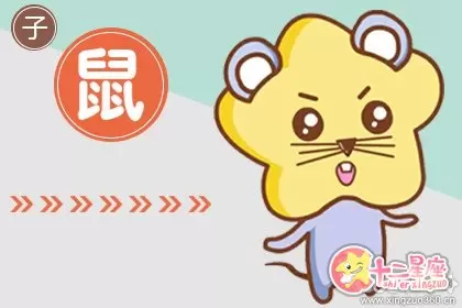 很理性 考虑情感问题很慎重冷静的生肖 很理性 考虑情感问题很慎重冷静的生肖