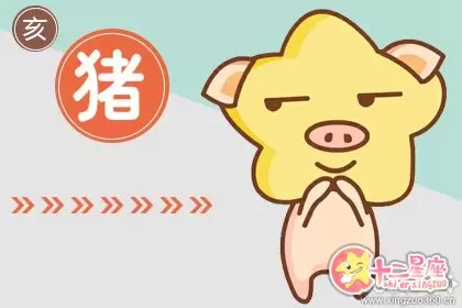 可塑性很强 可以任意切换形态的生肖 v