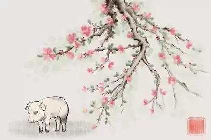 属兔女的和属什么的婚配最好 互相扶持共同奋斗