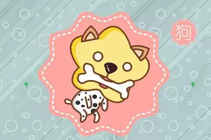 属龙的和属狗的婚配怎么样 适合在一起吗 属龙的和属狗的婚配怎么样 适合在一起吗