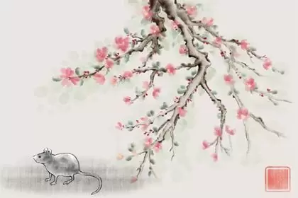 男鼠女虎能过一辈子吗 生肖性格分析 男鼠女虎能过一辈子吗 生肖性格分析