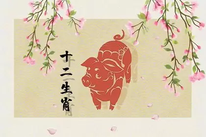 男猪女虎适合做夫妻吗 要注意什么 男猪女虎适合做夫妻吗 要注意什么