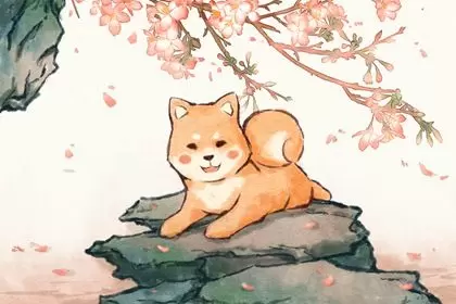 生肖狗和什么生肖最配 彼此互补 和谐幸福 生肖狗和什么生肖最配 彼此互补 和谐幸福