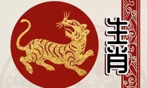 属虎和属虎相配吗 夫妻二人都属虎的命运好不好缩略图