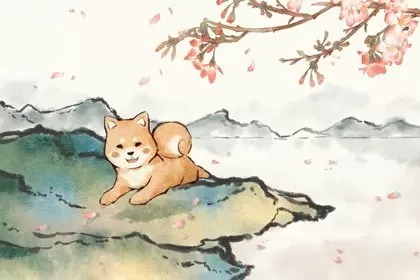 属龙的和属狗2023年会离婚吗 犯太岁加生肖对冲要小心 属龙的和属狗2023年会离婚吗 犯太岁加生肖对冲要小心