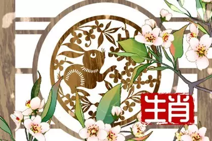 属鼠和属兔的合不合 鼠和兔感情合不合 属鼠和属兔的合不合 鼠和兔感情合不合