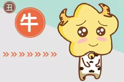 97牛跟95猪八字合不合 性格互补十分登对 97牛跟95猪八字合不合 性格互补十分登对