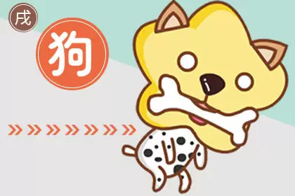 一直在努力一直没结果的生肖 一直在努力一直没结果的生肖