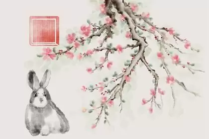 生肖兔和蛇合不合 感情平稳 配对幸福