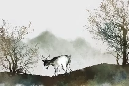 羊和哪个属相合最佳 和什么生肖在一起最好 羊和哪个属相合最佳 和什么生肖在一起最好