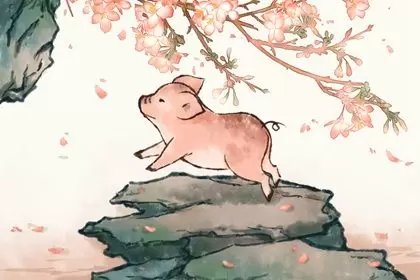 属兔和属猪的合不合婚 彼此互补默契十足 属兔和属猪的合不合婚 彼此互补默契十足