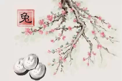 99年的兔适合婚配的属相 生肖兔的婚配宜忌查询 99年的兔适合婚配的属相 生肖兔的婚配宜忌查询