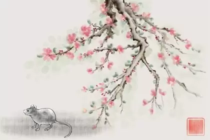 属鼠女的和属虎男的属相结婚好吗  配合默契家庭和睦