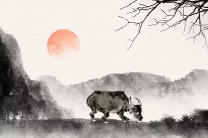 属马女和属牛男犯冲吗 如何化解相冲 属马女和属牛男犯冲吗 如何化解相冲