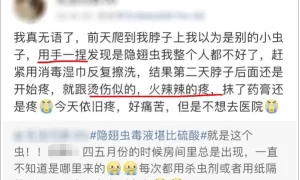 又是它！女子误将毒虫当蚊子拍死，险些毁容……缩略图