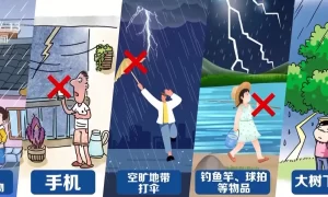 遇到暴雨和雷电天气如何防范？这些要牢记缩略图