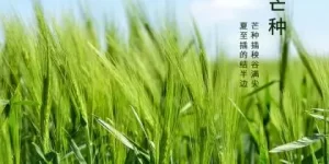 2018年白露节气出生男宝宝五行缺火起名推荐缩略图