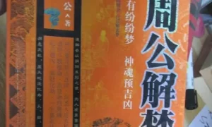 原版周公解梦原版大全查询 十种最吉祥的梦缩略图