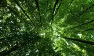 五行缺土属羊男孩起名,属羊男孩起名方法缩略图