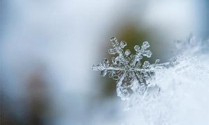 2018年出生的宝宝五行起名缩略图