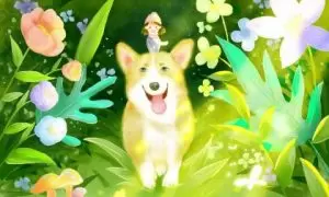 2018年狗年女起名王嘉琪命运好吗？缩略图