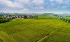 宝宝五行缺土怎么起名？宝宝起名要注意什么？缩略图