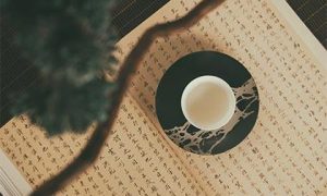 韦特塔罗牌新手书籍适合初学者的书缩略图