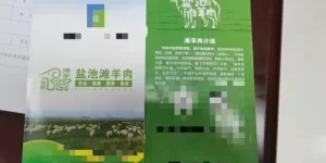 盐池滩羊肉可以治病防病？虚假宣传，罚！缩略图