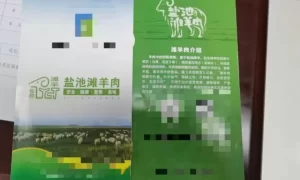 盐池滩羊肉可以治病防病？虚假宣传，罚！缩略图