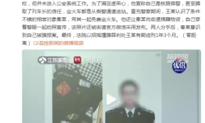 招摇撞骗！男子为虚荣冒充乘警免费坐火车缩略图