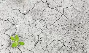 2018年国庆节生的八字五行缺土男孩起名，八字缺土的危害缩略图