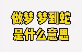 做梦梦到蛇是什么意思,女人梦到好多蛇缩略图