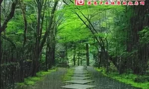 梦到下雨了是什么意思啊   周公解梦,梦到下雨是什么意思周公解梦缩略图