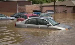 做梦梦见在洪水里开车 梦见开车在洪水中行进缩略图