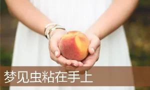 做梦手里生虫子 做梦手里有虫子缩略图