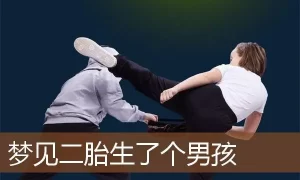 做梦梦见生二胎男孩 做梦二胎又生了个男孩缩略图