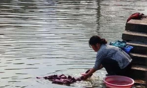 做梦在大河里洗衣服了 做梦在河边自己洗衣服缩略图