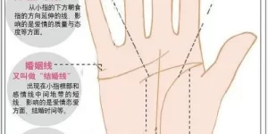 周公解梦命运线 周公解梦梦码查询缩略图