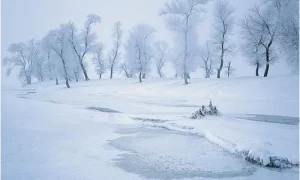 做梦梦到雪地捡钱,梦见自己在雪地上行走缩略图