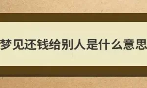 做梦梦到有人给我还钱,梦见别人不还钱给我缩略图