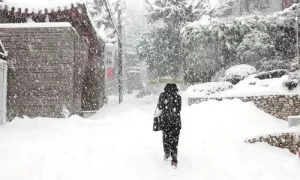 做梦梦见下大雪路面结冰 梦见下大雪结冰很滑缩略图